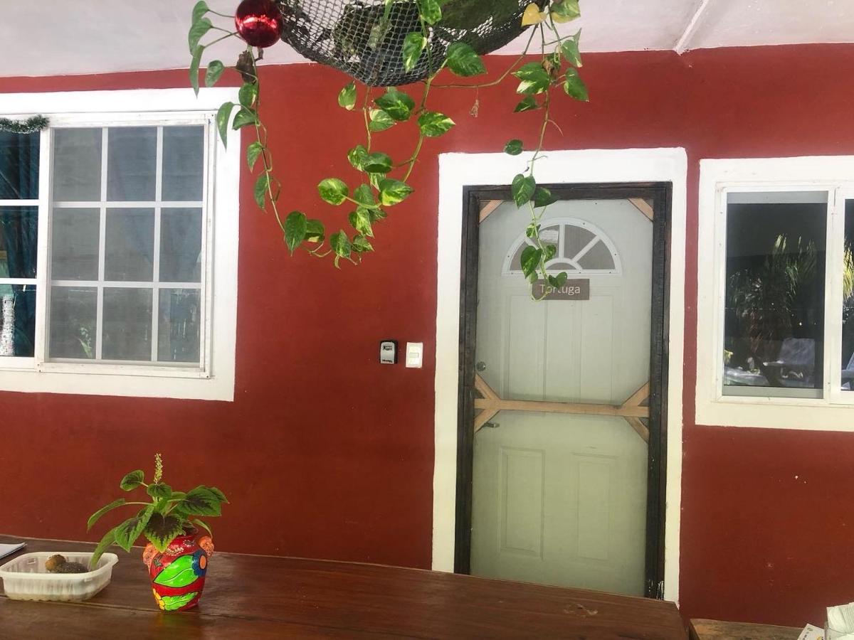 إل كويو Habitacion Tortuga Casa Maria Bonita المظهر الخارجي الصورة