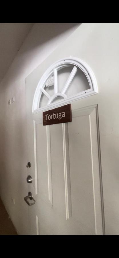 إل كويو Habitacion Tortuga Casa Maria Bonita المظهر الخارجي الصورة